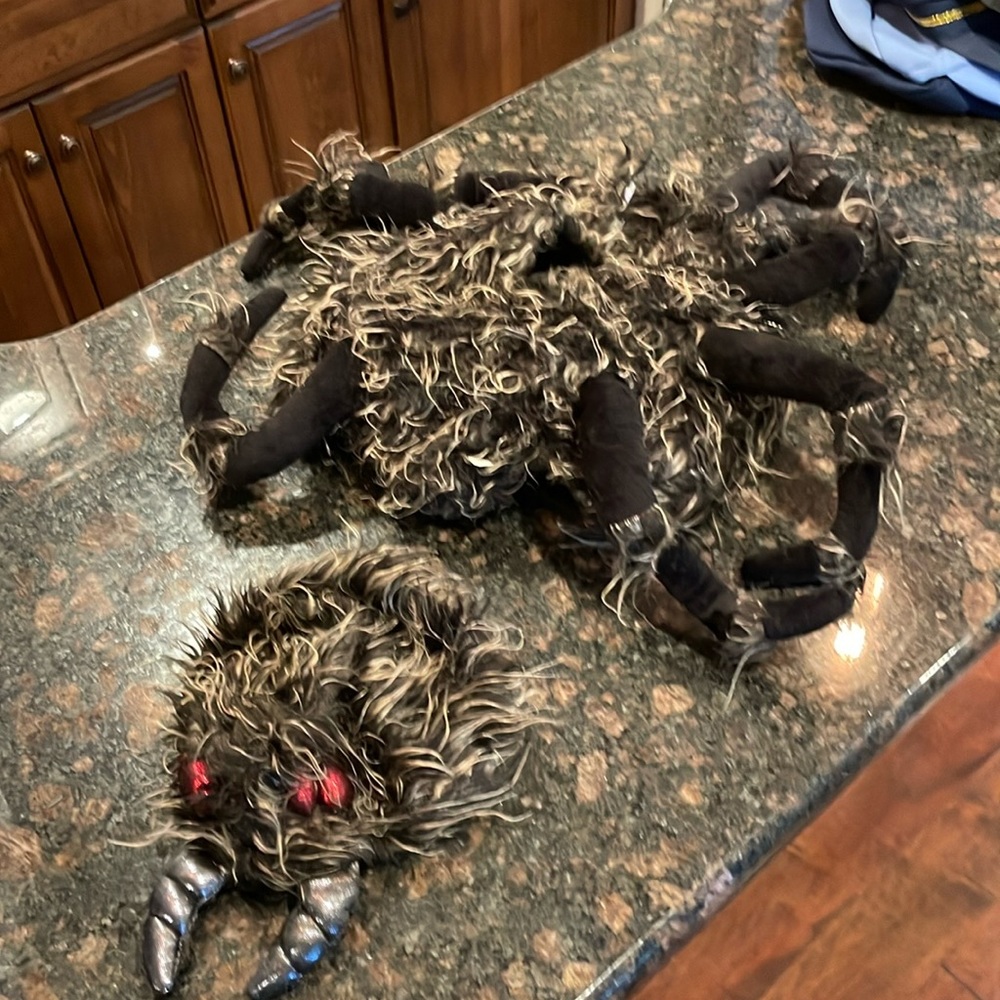 6-12M spider Halloween costume